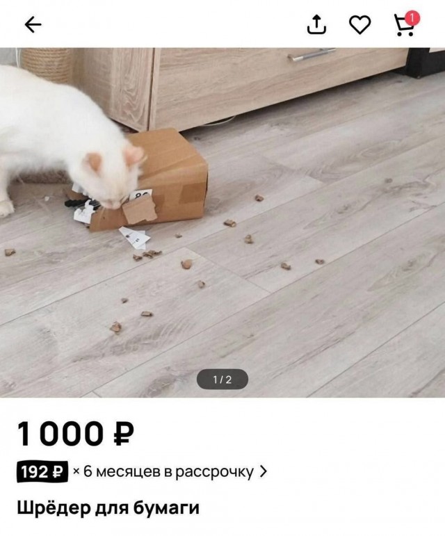 Веселые картинки в понедельник (07.07)