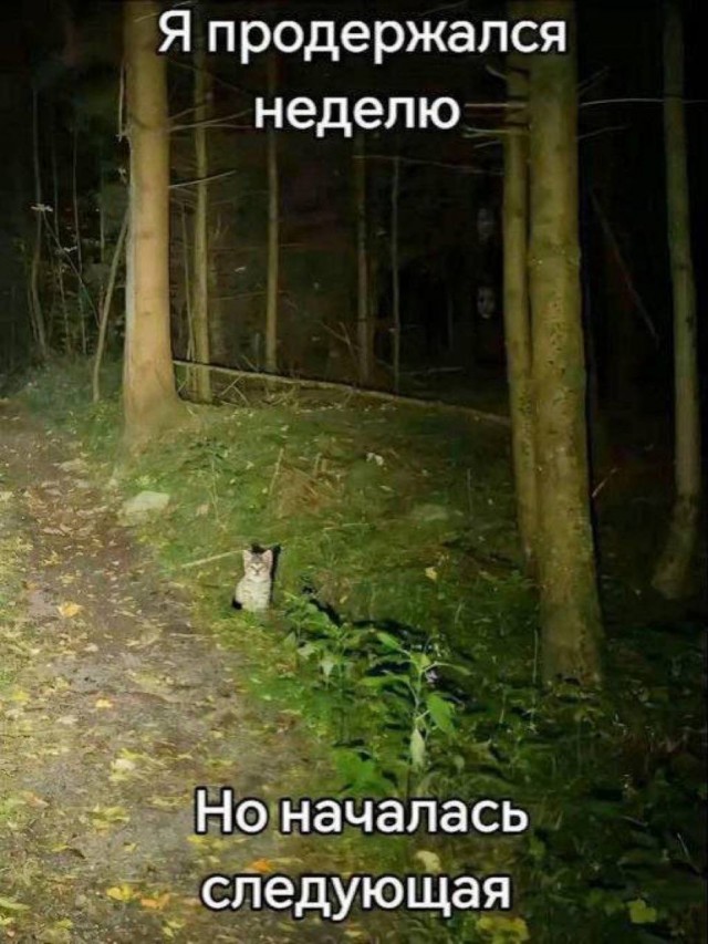 Небаянистая деградация 7