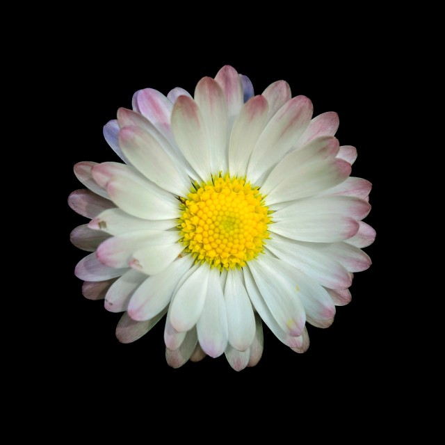 Моя мобильная фотография.