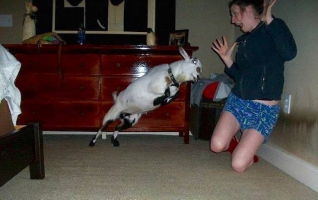 Подборка фотографий из серии " За секунду до.."