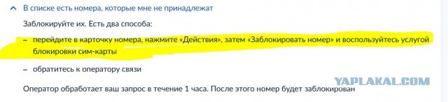 На Госуслугах появились сим-карты Билайн, которые я не оформлял