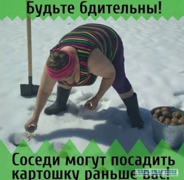 Неутешительные выводы