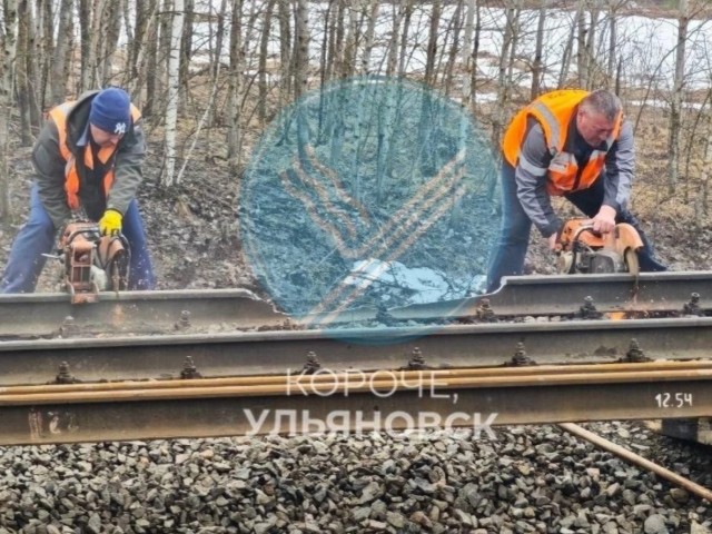 Семь вагонов пассажирского поезда Челябинск-Москва сошли с рельсов в Ульяновской области
