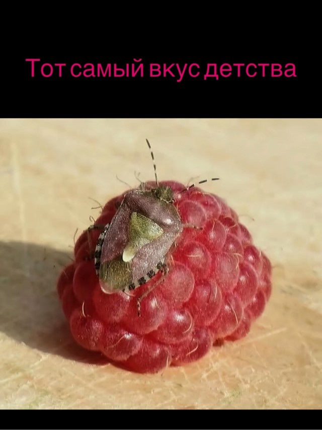 Деградация