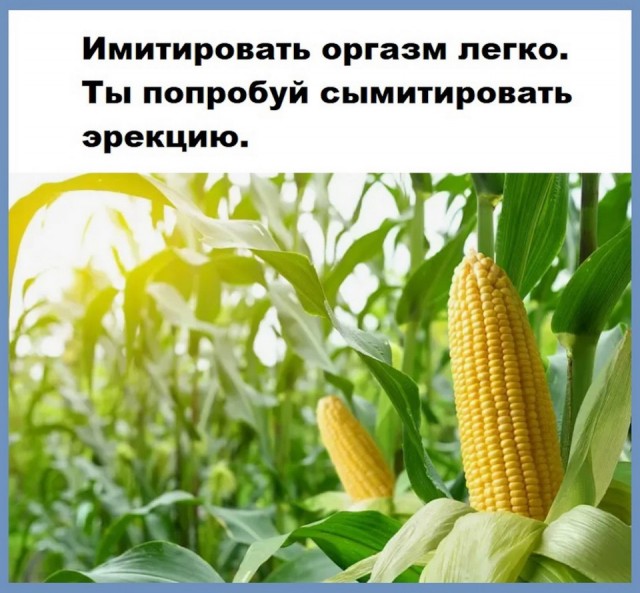 Воскресные картинки