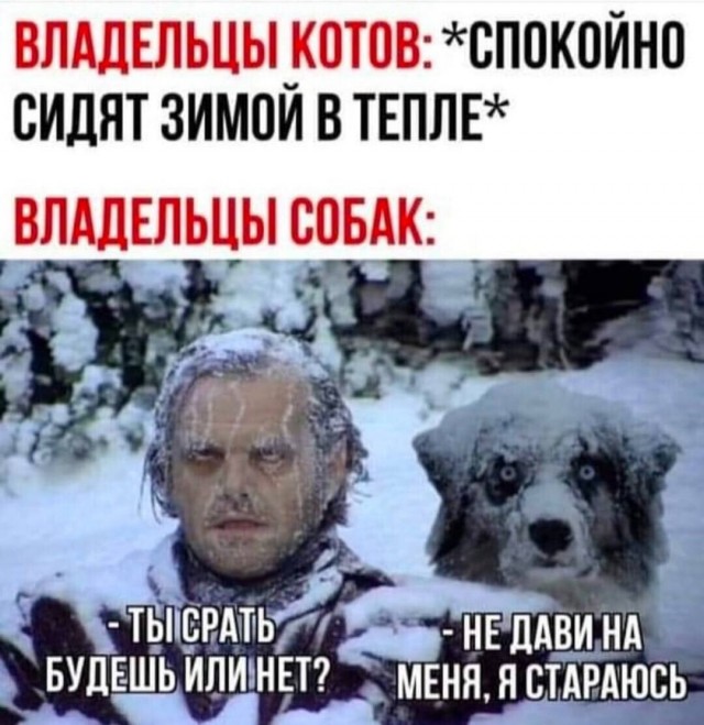 Картинки для деградации 202 (разной степени свежести)
