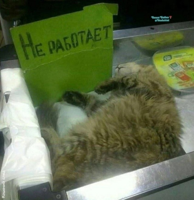 Так себе картинки 10.09.26