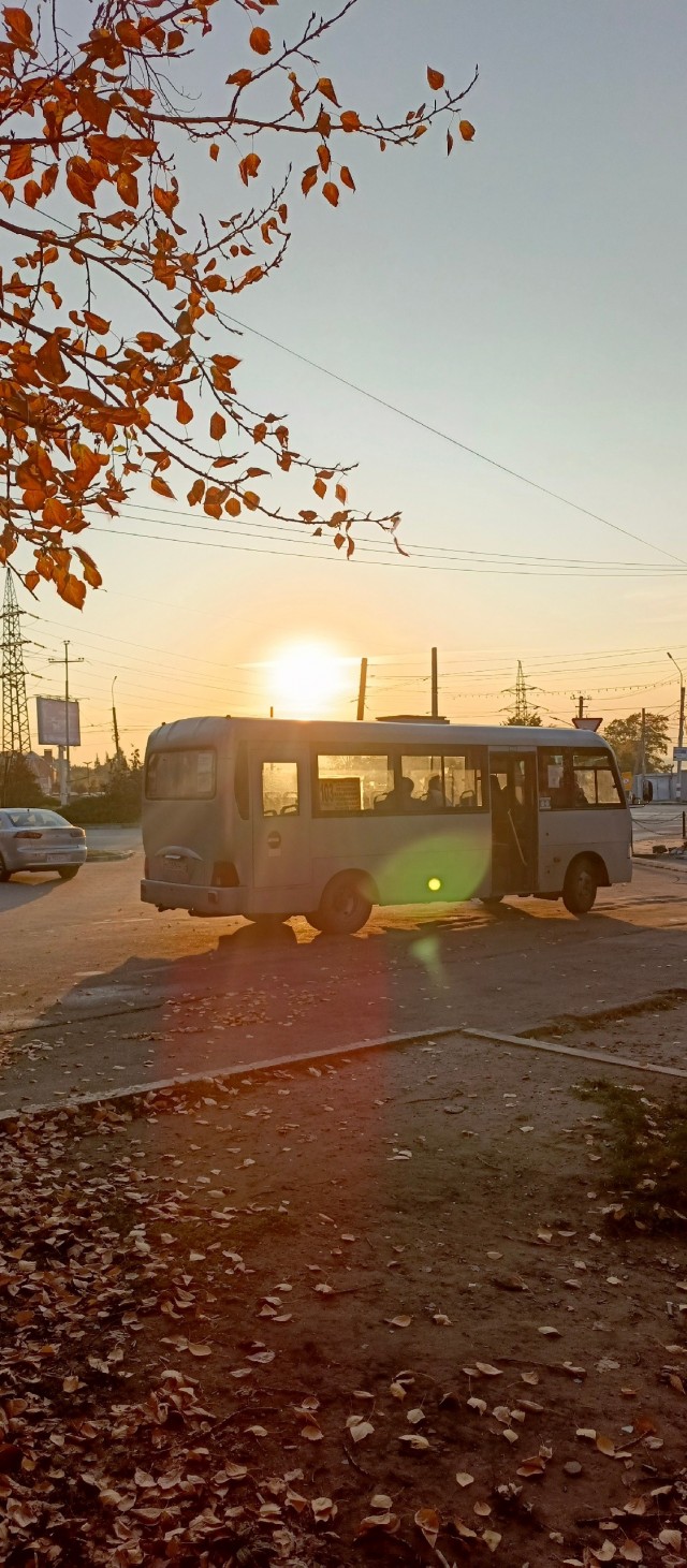 Все краски осени