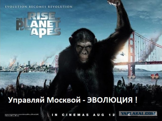 Ночная жизнь гастарбайтеров в Москве