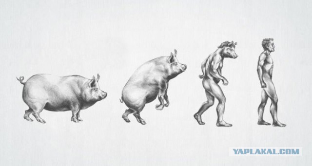 EXTREMEальное преображение