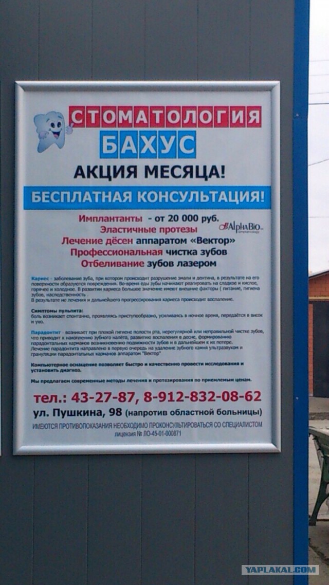 Маразмы месяца