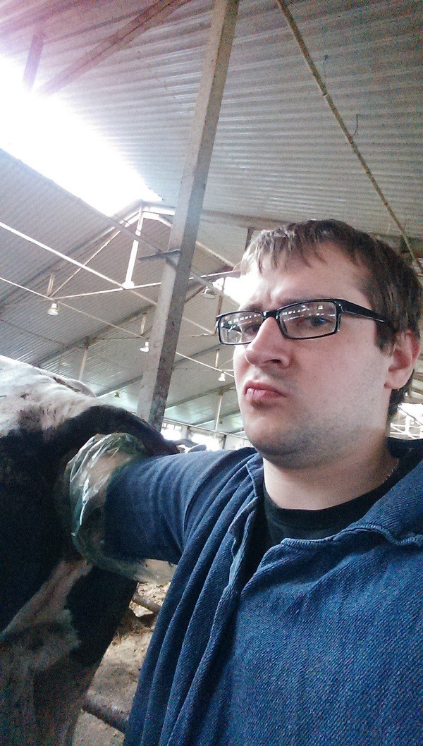 Коротко о моей практике ветврача