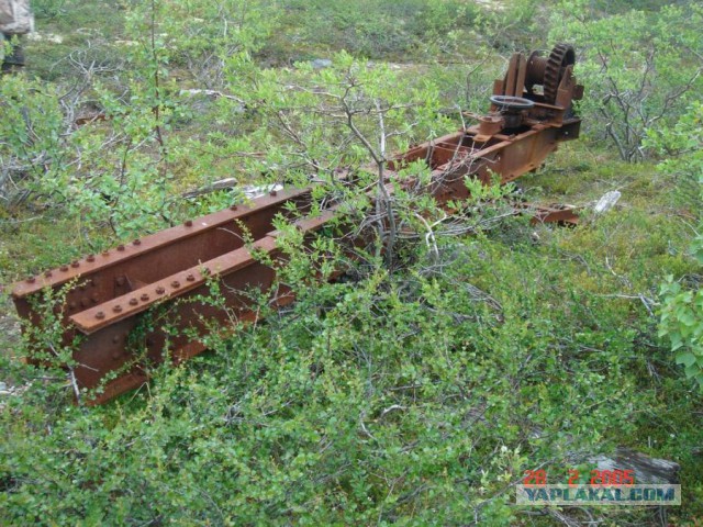 Отчет Банды маргиналов или трэш на Северах