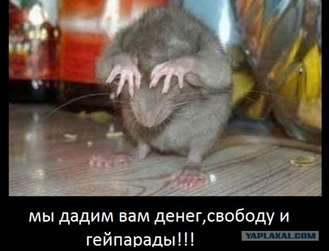 Топовые комментарии литовцев о Балтийском пути