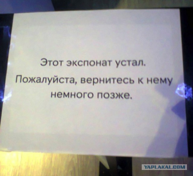 Шикарные объявления августа месяца