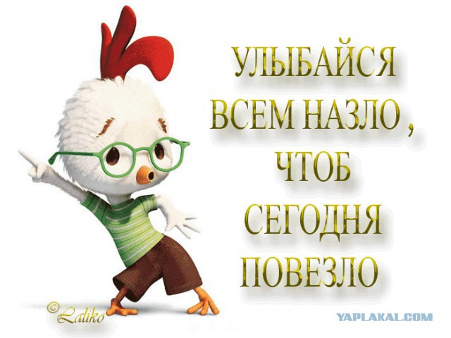 Горячие демотиваторы