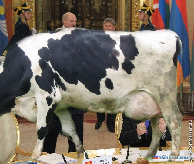 Дима играет в шофёра