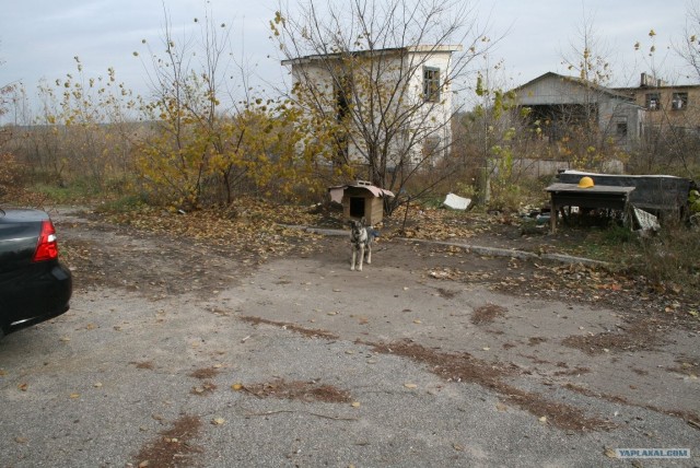 Заброшенная танковая база.