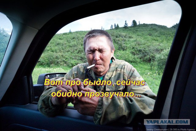 Давайте знакомиться! Я-дорожное Быдло.