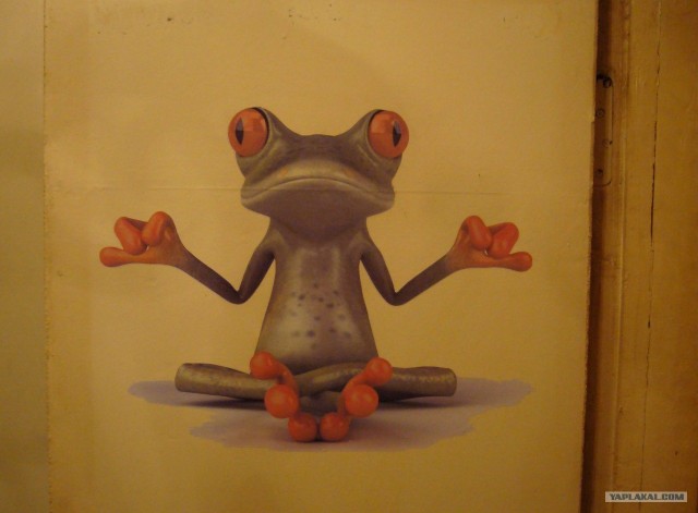 Оклейка холодильника