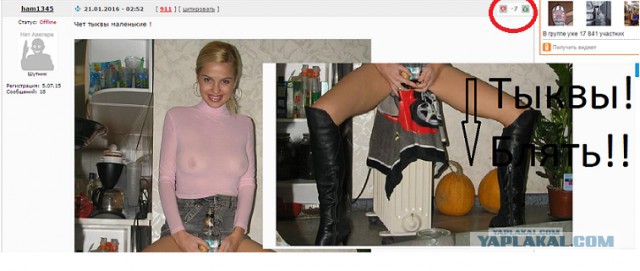 Ужасы и приколы из соцсетей 18+