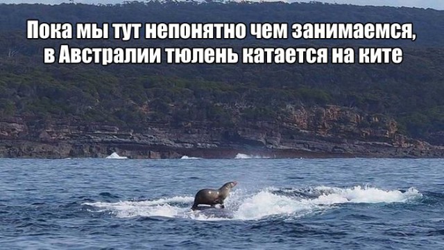 Подборка фотоприколов