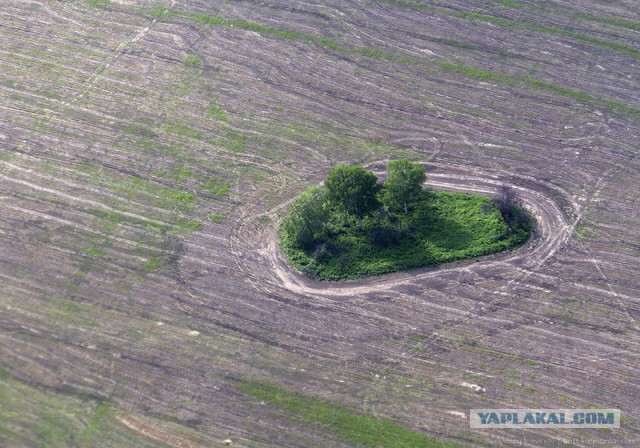 Край в котором я живу