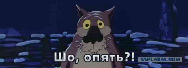 Исчезновение и трагическая гибель Лисанн Фрон и Крис Кремерс