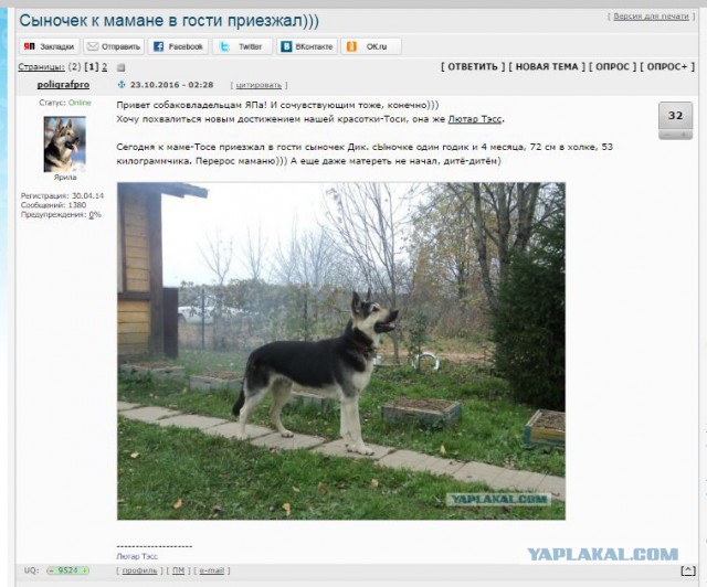Сыночек к мамане в гости приезжал)))