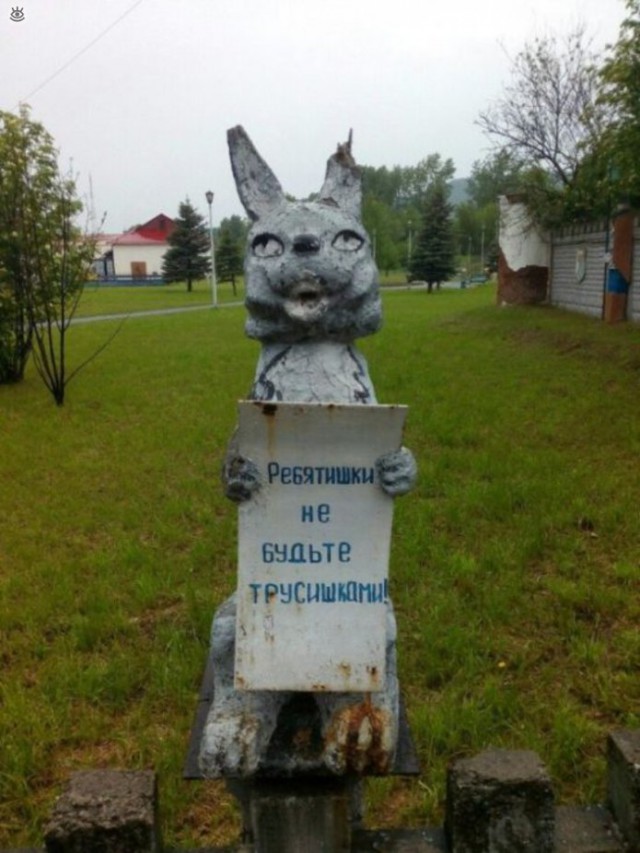 Прикольные картинки