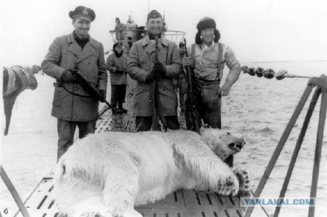Фотографии к "Нахальному минированию" и "Лехе"