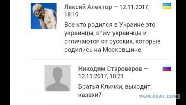 Смешные комментарии из социальных сетей 17.11.2017