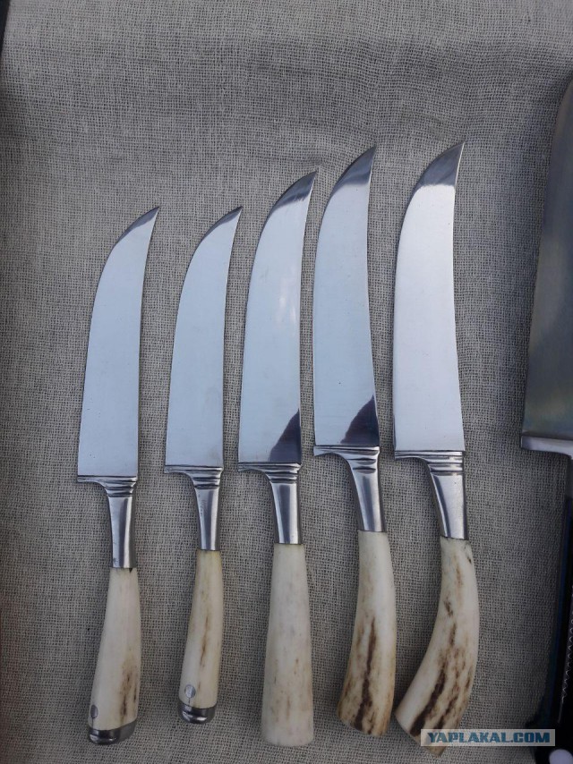 Продам Пчаки