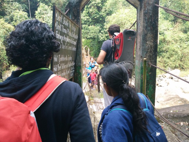 К живым мостам и обратно. Заметки из Индии