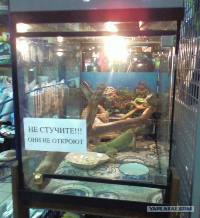 Пятница тринадцатое, самое время на деградацию!