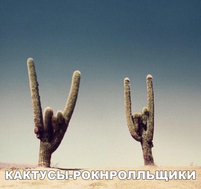 Нестандартный юмор