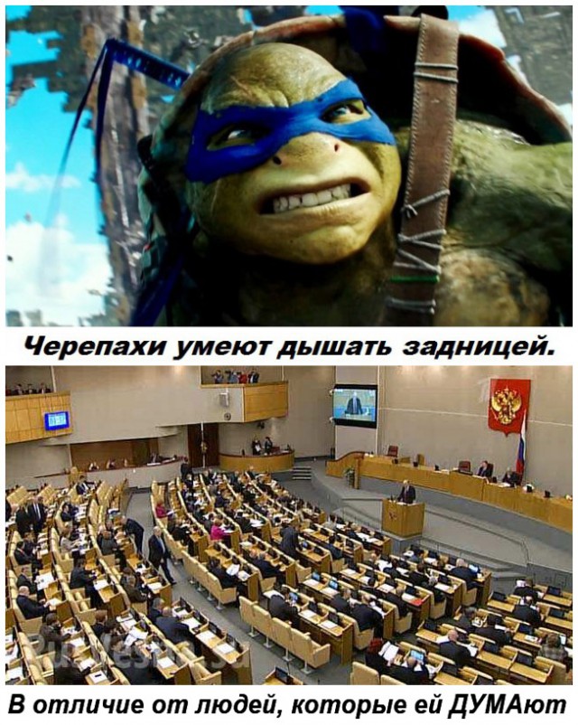 Подборка бесполезных фактов