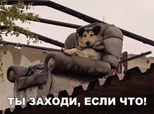 Нестандартный юмор