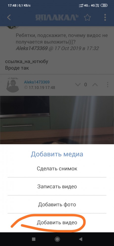 Навеяло темой про брошенного котейку