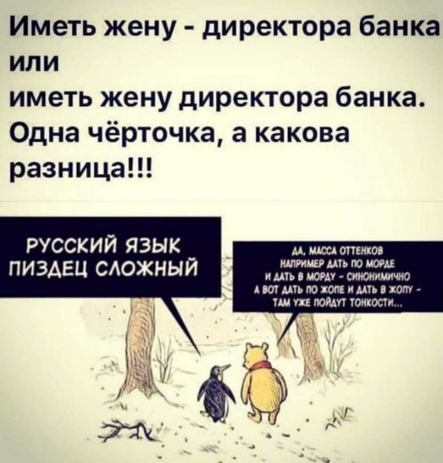 Бредзона из картинок
