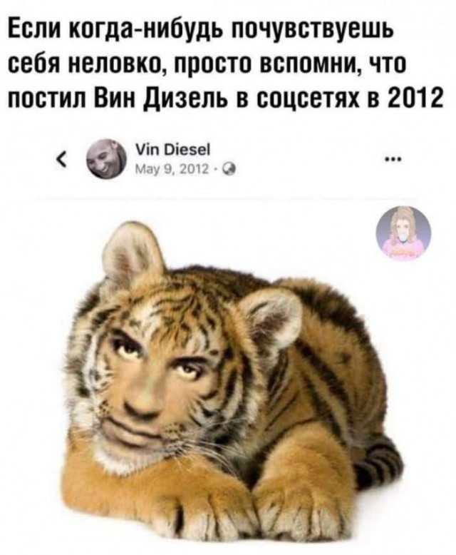Немного картинок для настроения 10.01.20