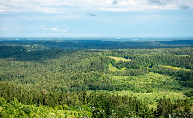 Деревенская Америка - 6