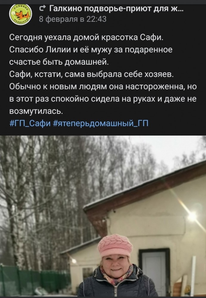Котопост