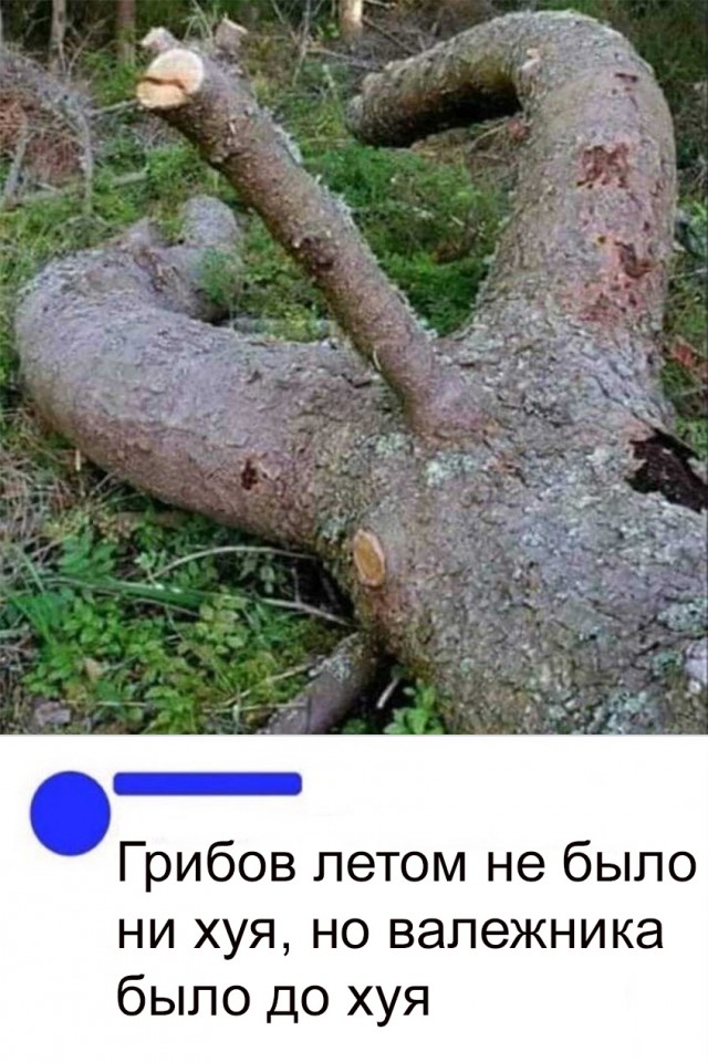 Так себе картинки 30.05.20