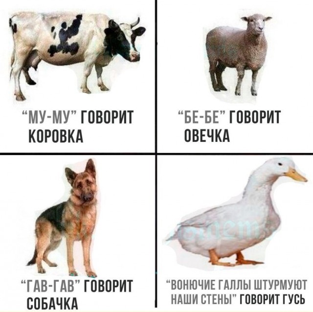 Моветон