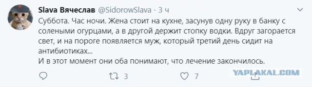 Бредзона 21.08.2020