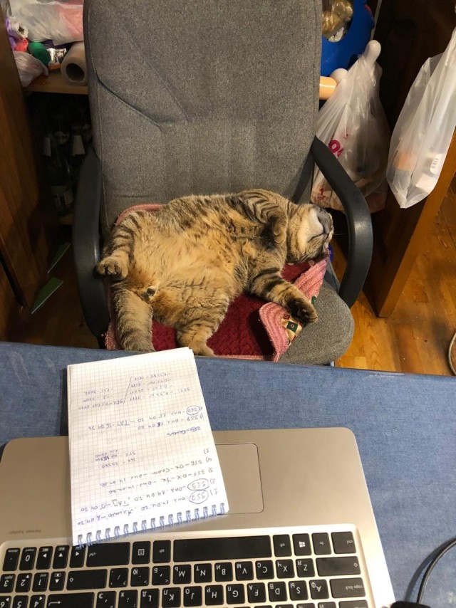 Маринованный Халапеньо. Классический рецепт.