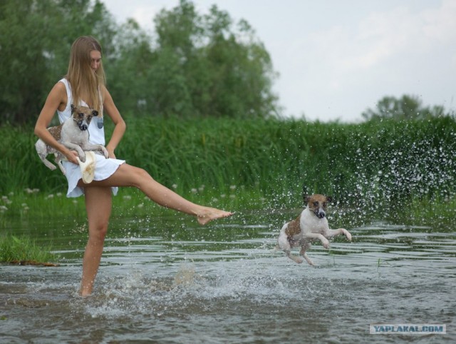 Фотожаба: Волшебный пендаль