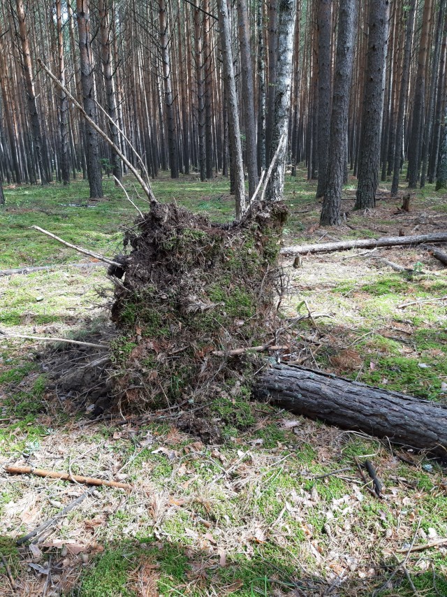 Окунево на выходные