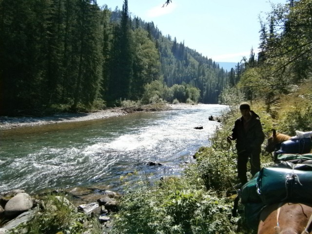 На конягах по Алтаю